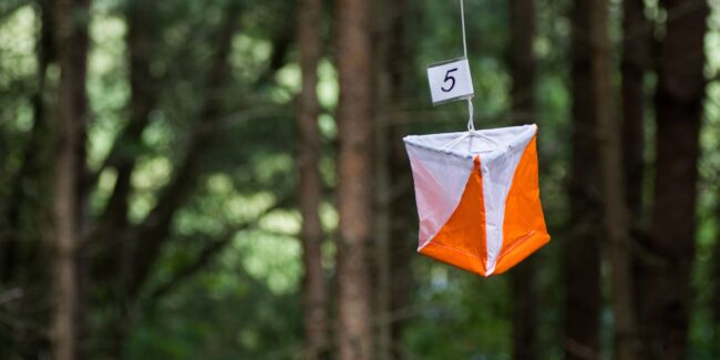 orienteering-primiero-o-week